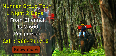 munnar-group-tour