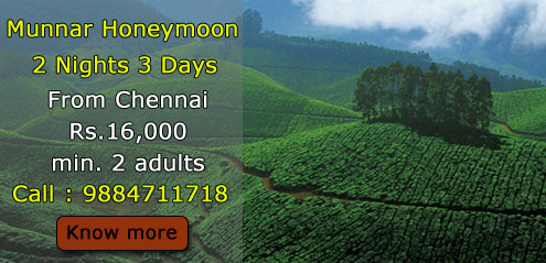 munnar-honeymoon-package